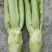 棒菜5两以上