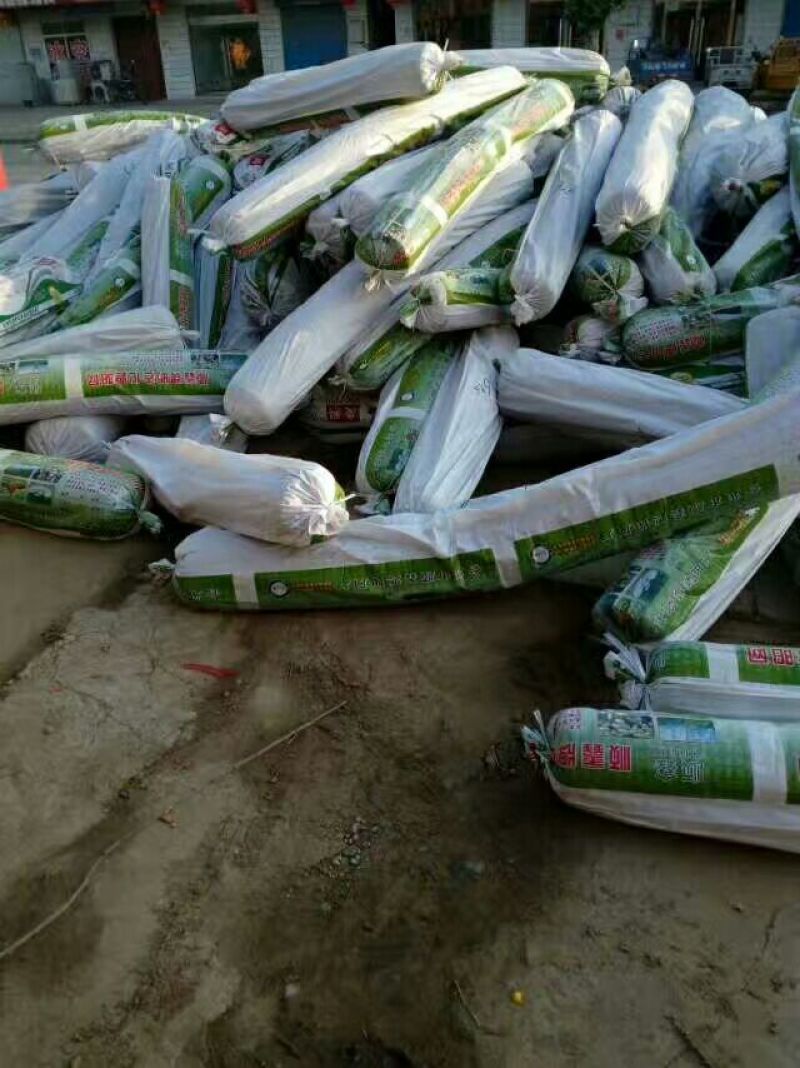 绿色95%平针网抗氧化平织遮阳网防晒网遮阴网使用