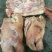 猪头肉包装