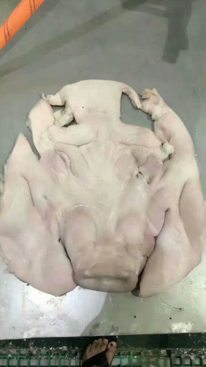 猪头肉包装