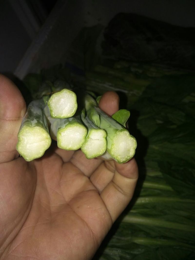 白菜苔20~30厘米
