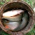 江鲤鱼0.5~1公斤食用