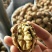 纸皮核桃云南大理漾濞纸皮麻子果去皮30mm以上干