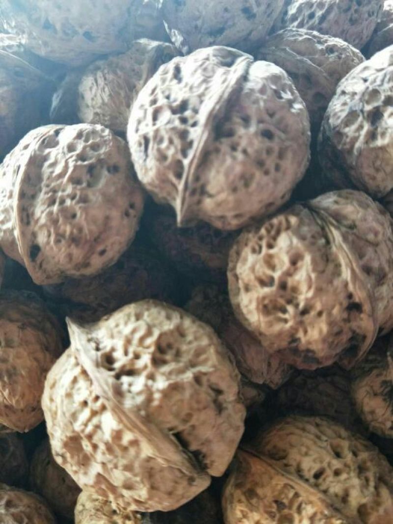 纸皮核桃云南大理漾濞纸皮麻子果去皮30mm以上干