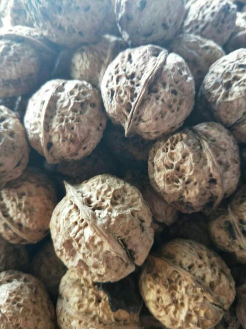 纸皮核桃云南大理漾濞纸皮麻子果去皮30mm以上干