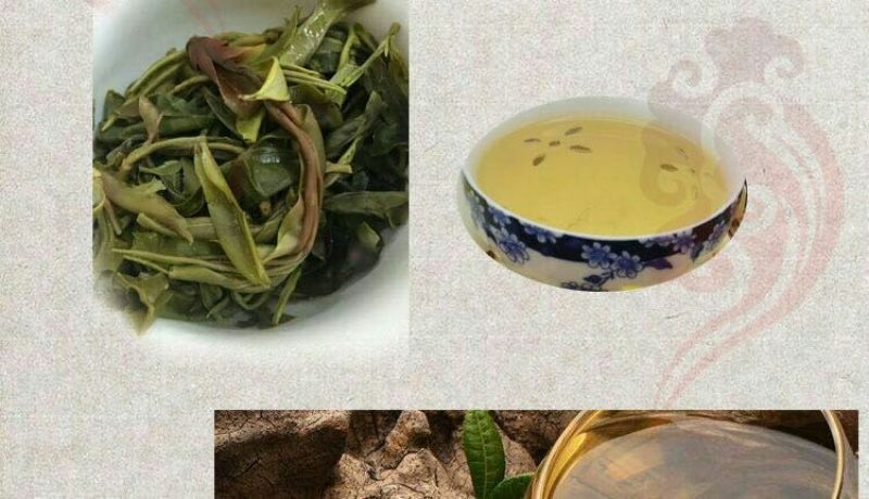 普洱茶一级