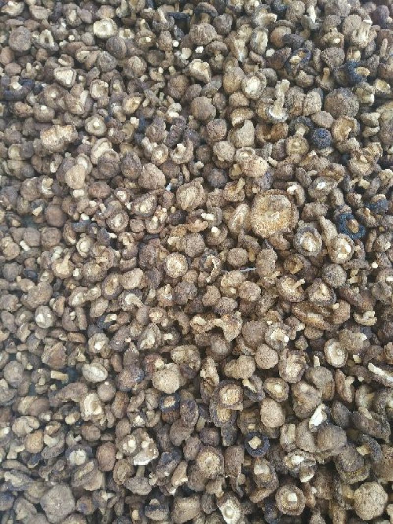 干香菇3cm以上