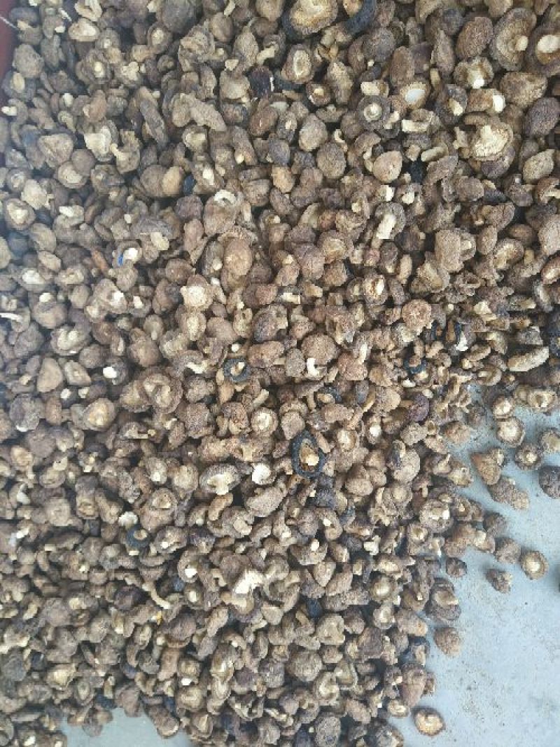 干香菇3cm以上