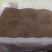 高羊茅草种98%以上