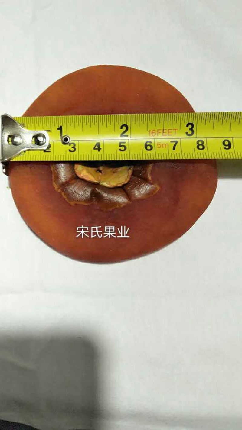 柿饼1~2两
