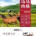 马肉熏马肉，熏马肠，马排