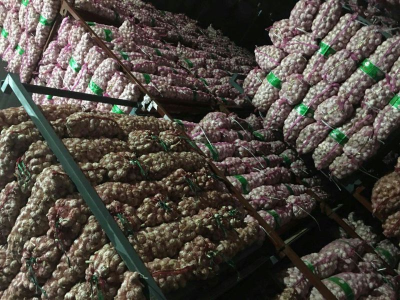 杞县紫皮蒜混级统货干蒜，可线上交易，视频看货