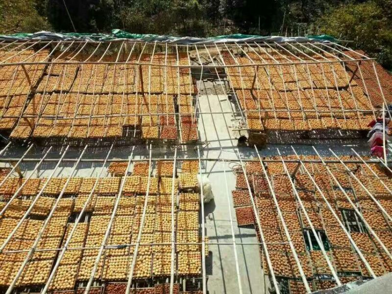 柿饼1两以下
