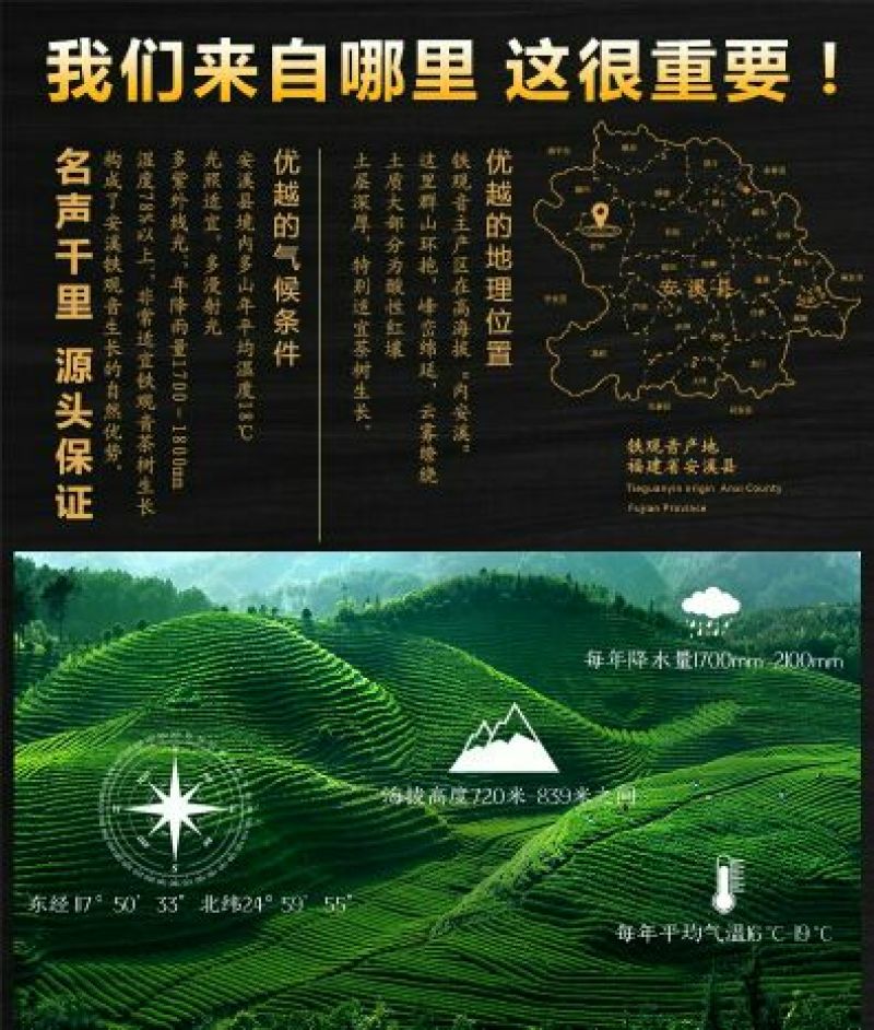 铁观音高山特级兰花韵250g/盒2盒共500g包邮