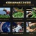 清香味观音韵十足250g/盒2盒500g包邮