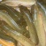 鲶鱼食用