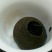 普洱茶特级