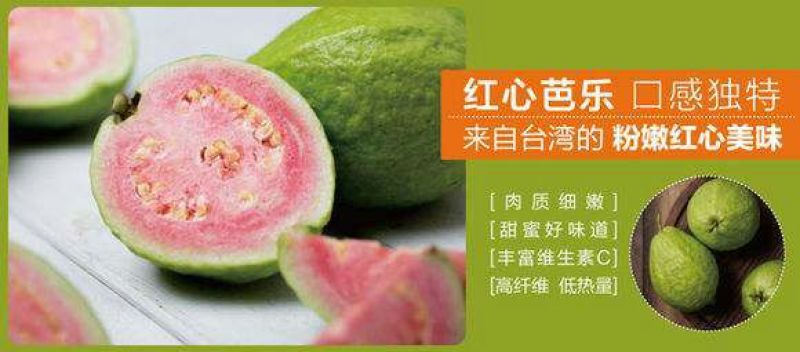 西瓜番石榴苗一棵起发货
