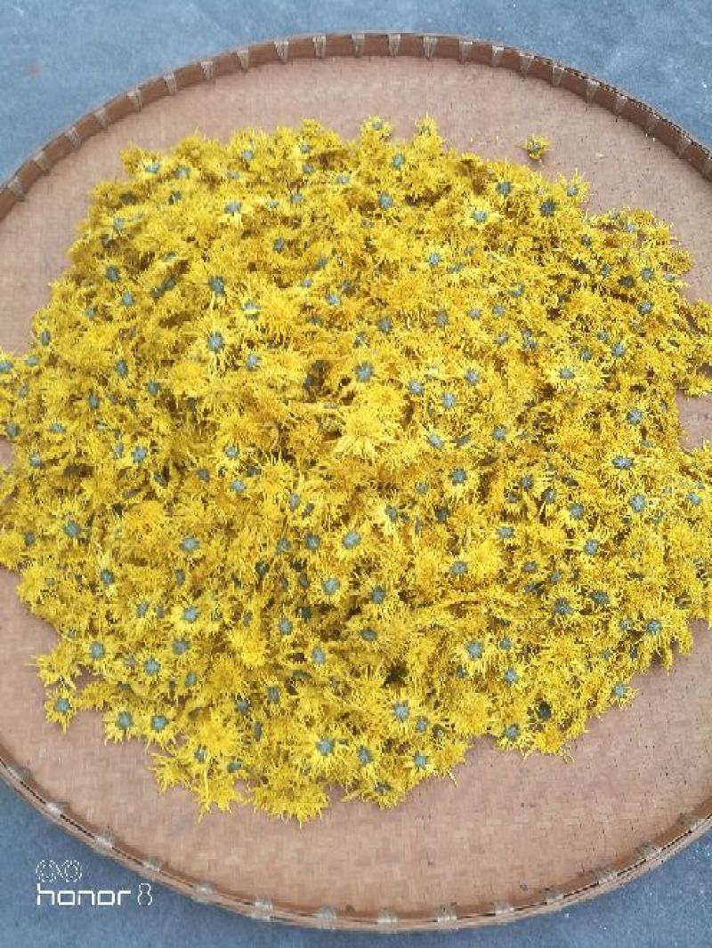 药用菊花散装