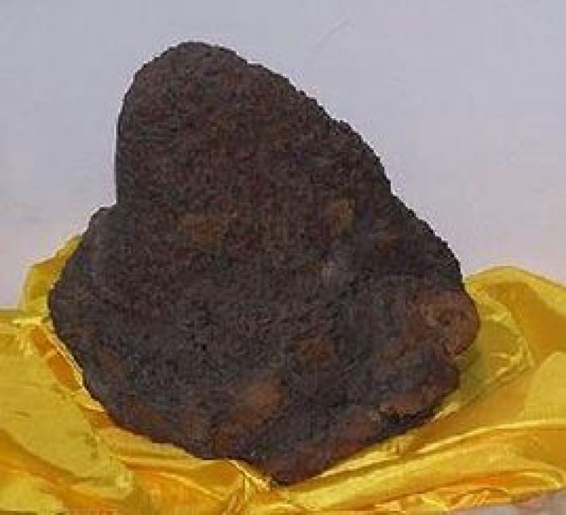 （实力供货）精品白桦茸大量上市中，产地一手货源质优价廉
