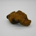 （实力供货）精品白桦茸大量上市中，产地一手货源质优价廉