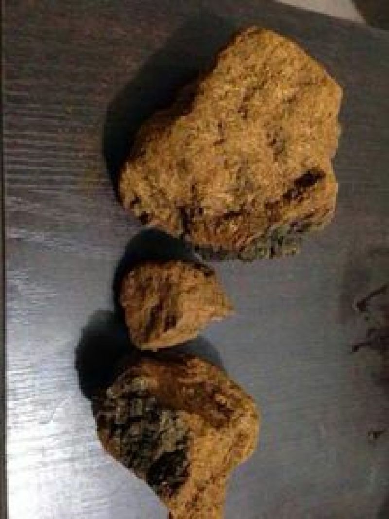 （实力供货）精品白桦茸大量上市中，产地一手货源质优价廉