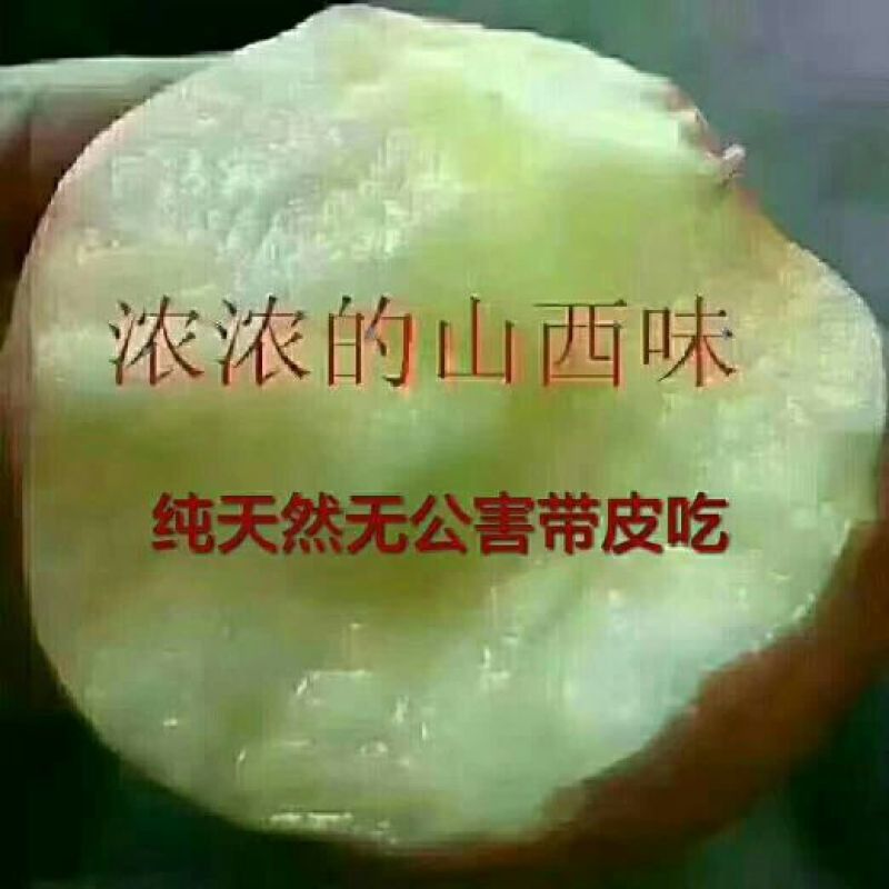 红富士苹果75mm以上膜袋