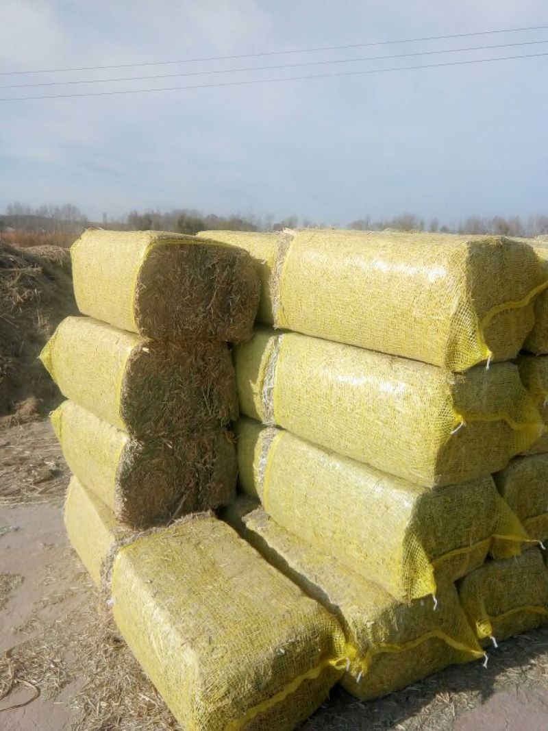 草粉24个月