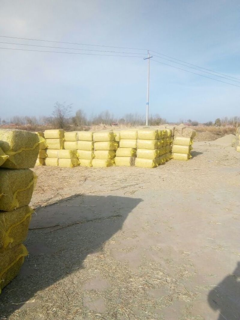 草粉24个月