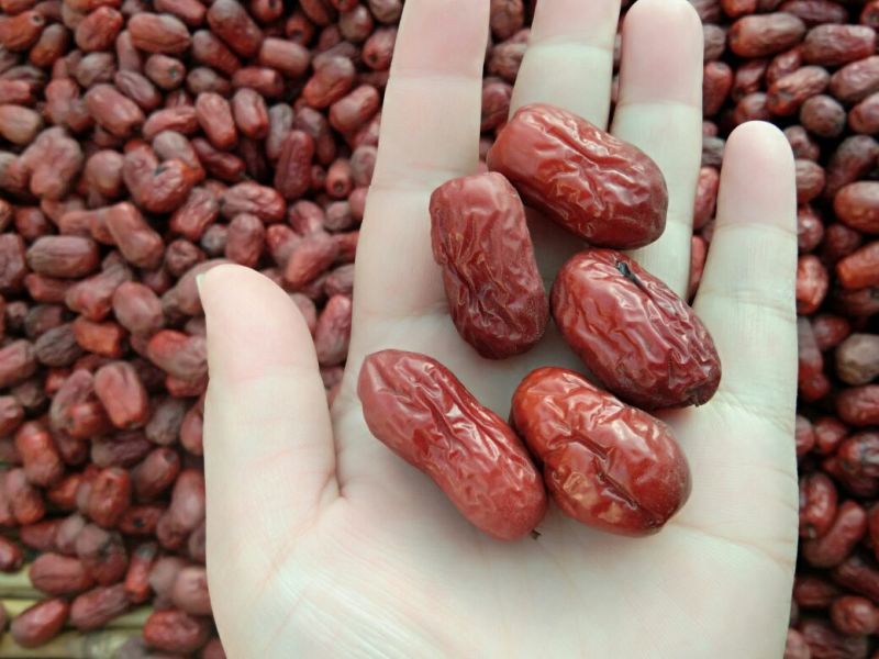 红枣通货干枣
