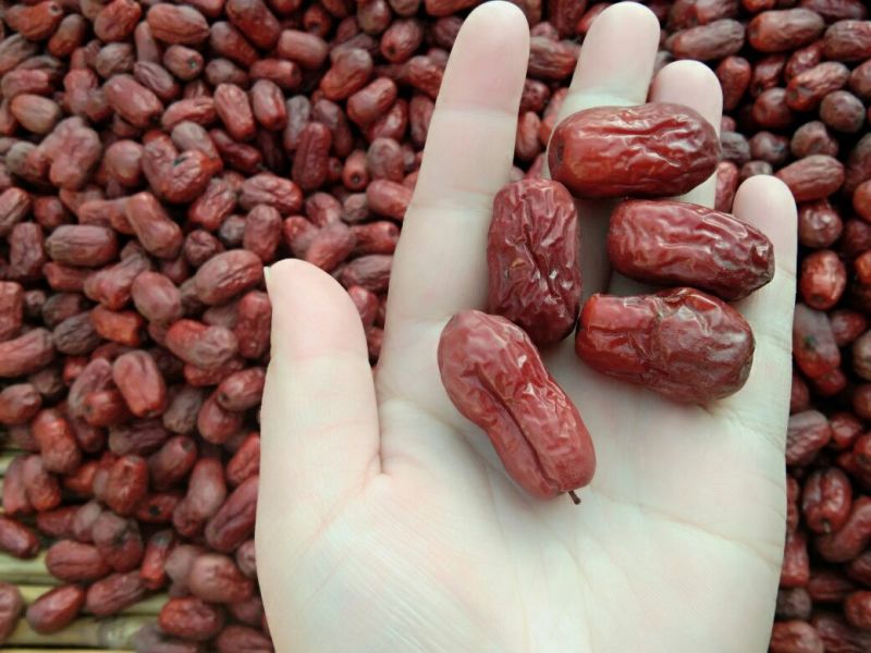 红枣通货干枣