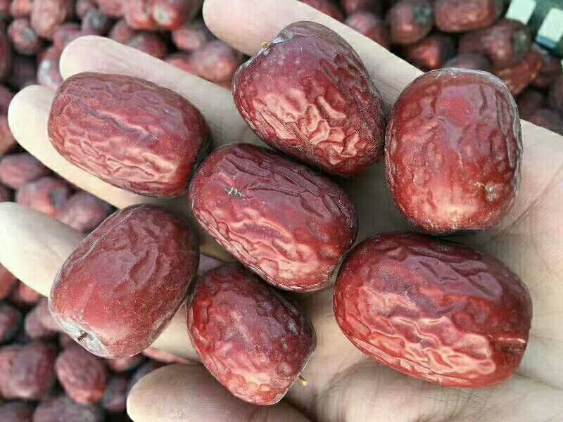 新疆红枣通货干枣