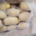 荷兰十五土豆3半斤上精品