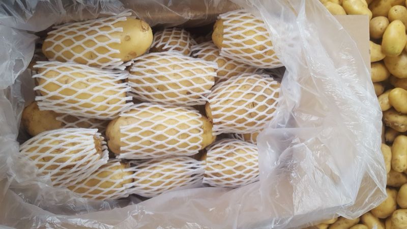 荷兰十五土豆3半斤上精品