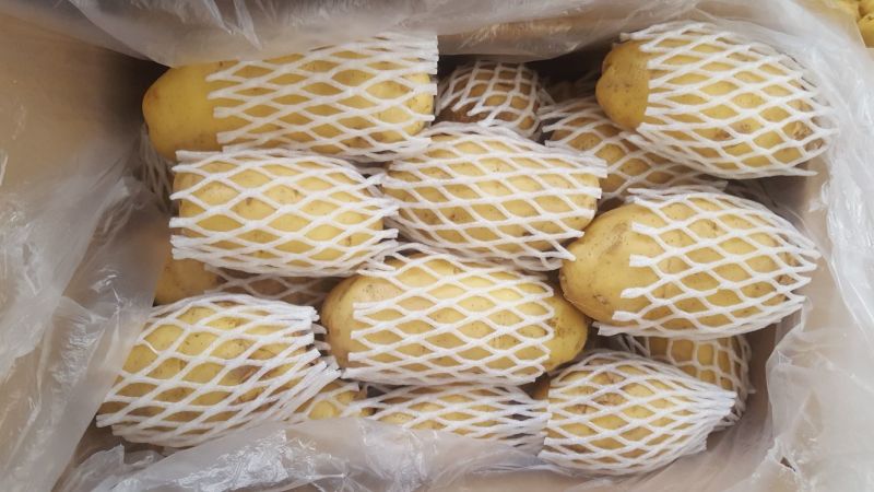 荷兰十五土豆3半斤上精品