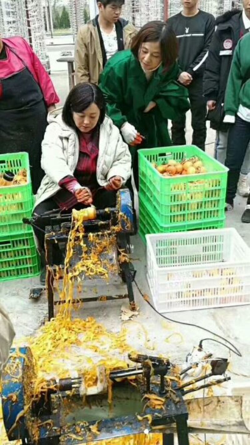 柿饼1~2两