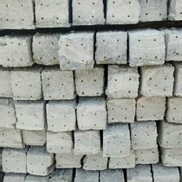 专业搭建百香果架子！火龙架子！全国都可以包工包料