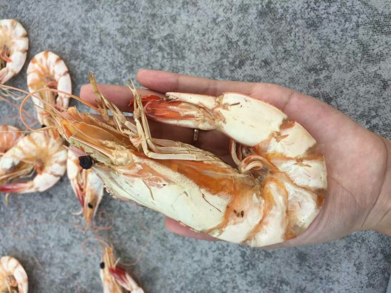 虾干一级