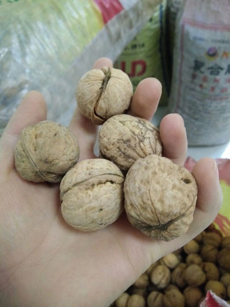 山核桃28mm以上，去皮洁