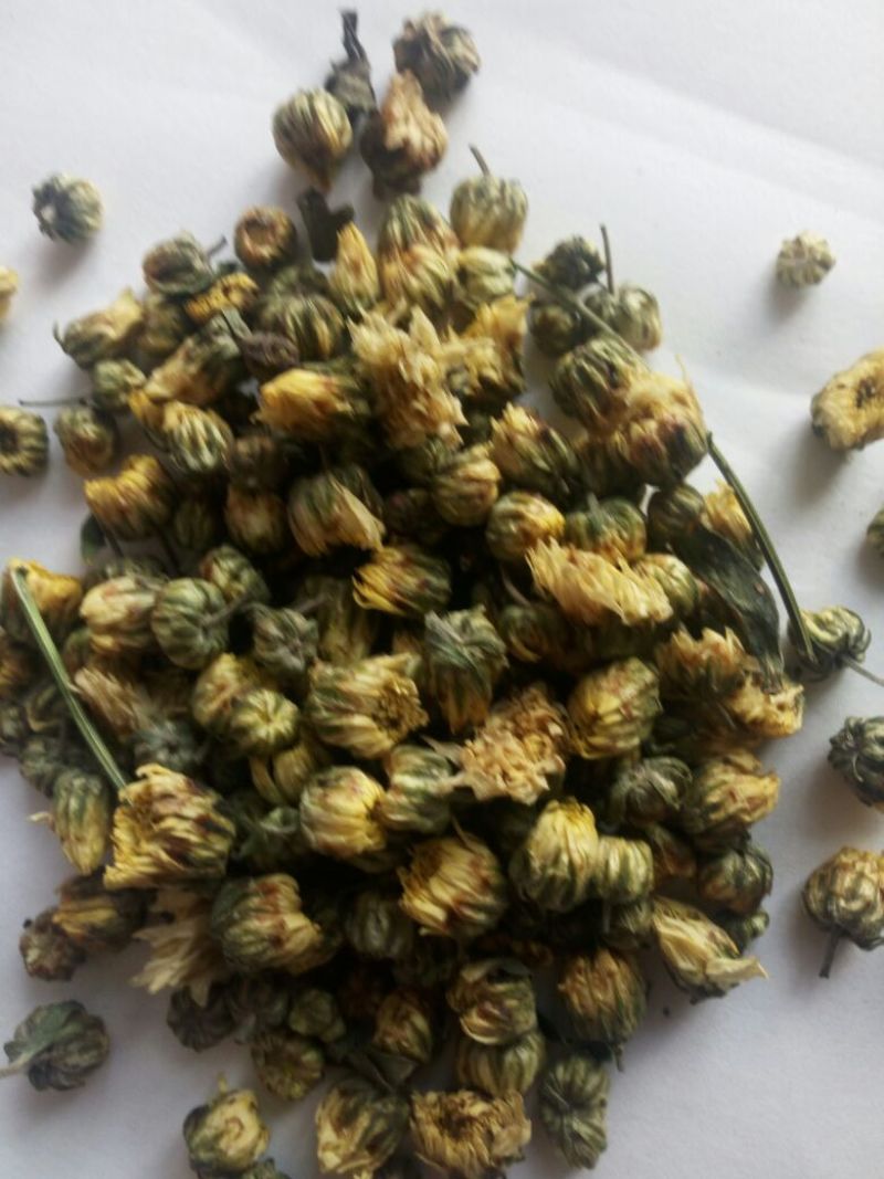 胎菊王散装