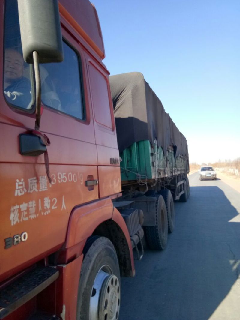 菊苣根分为两种一种是出菜的另外一种是做加工的