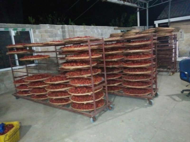 柿饼1~2两