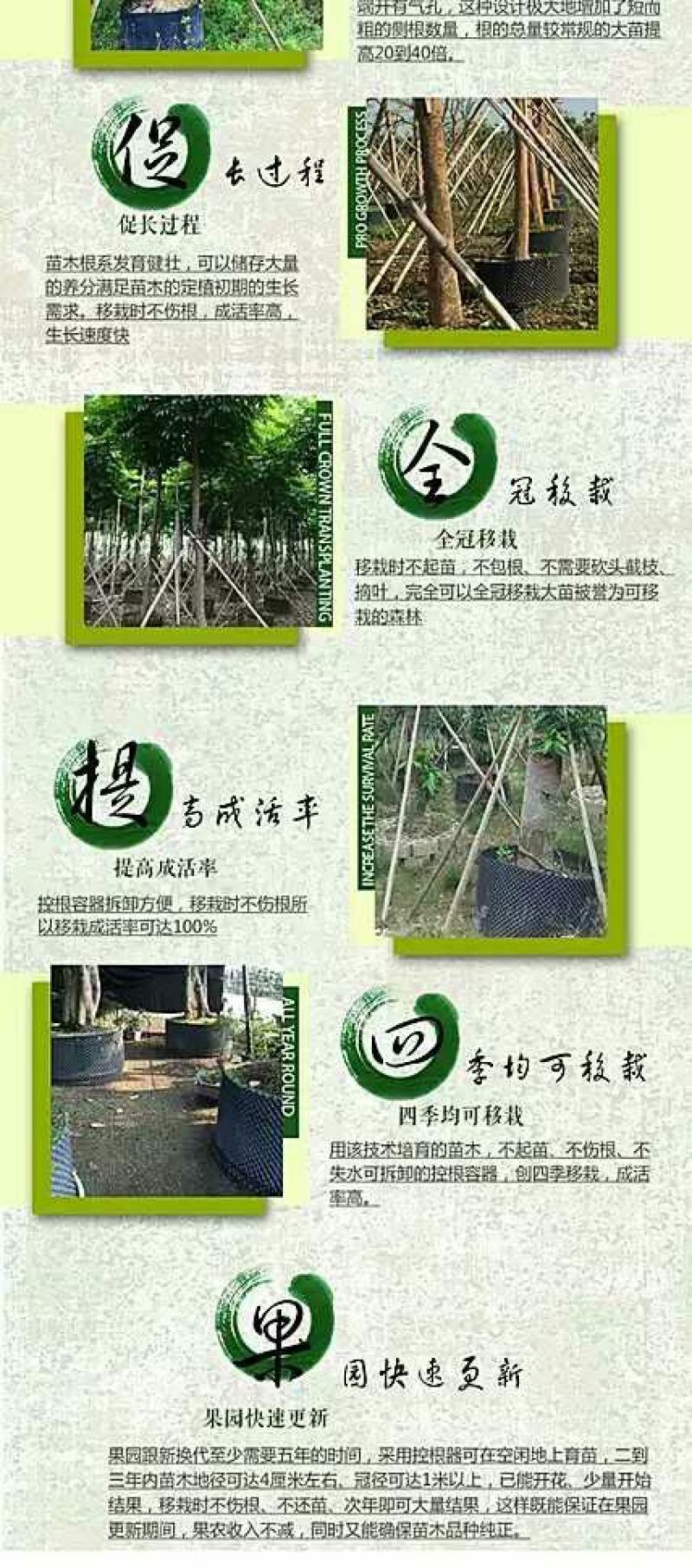 专用控根器植树袋快速种植育苗控根器容器围植排水板