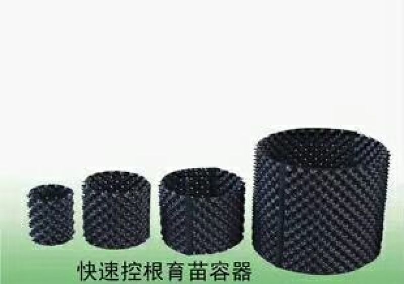 专用控根器植树袋快速种植育苗控根器容器围植排水板