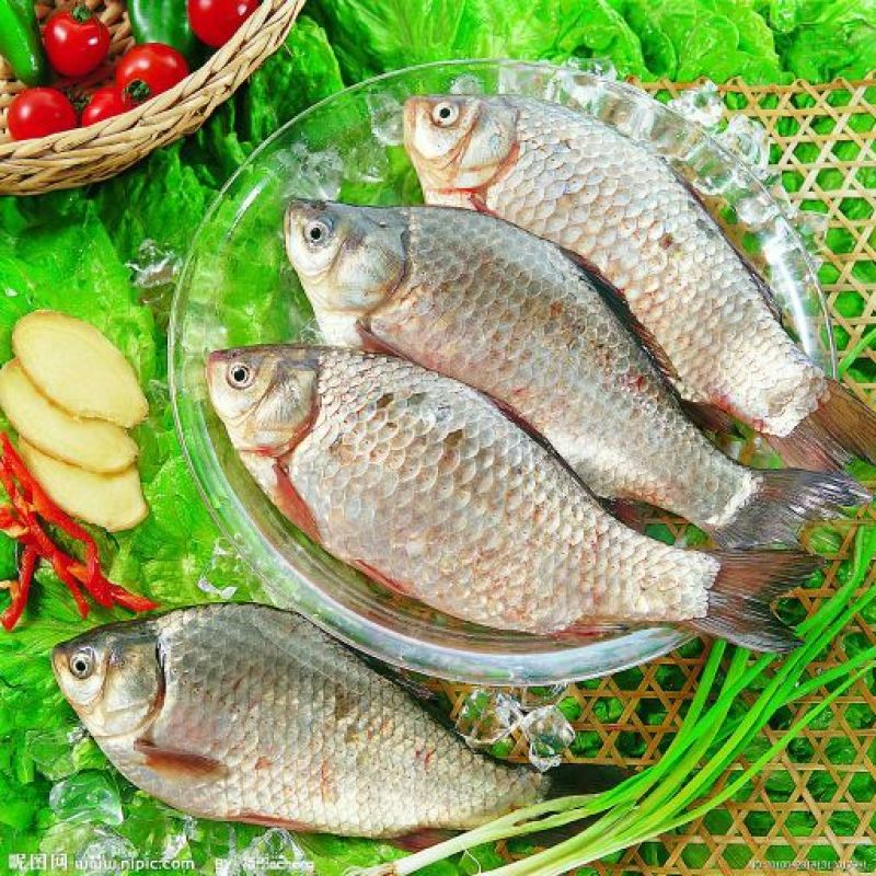 白鲫食用