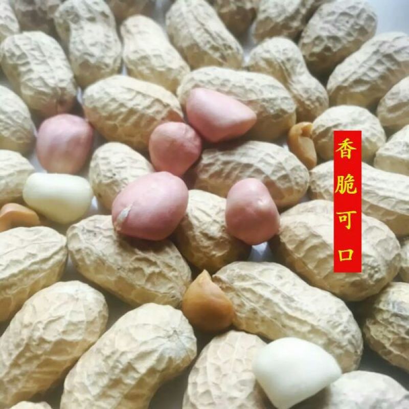炒花生散装