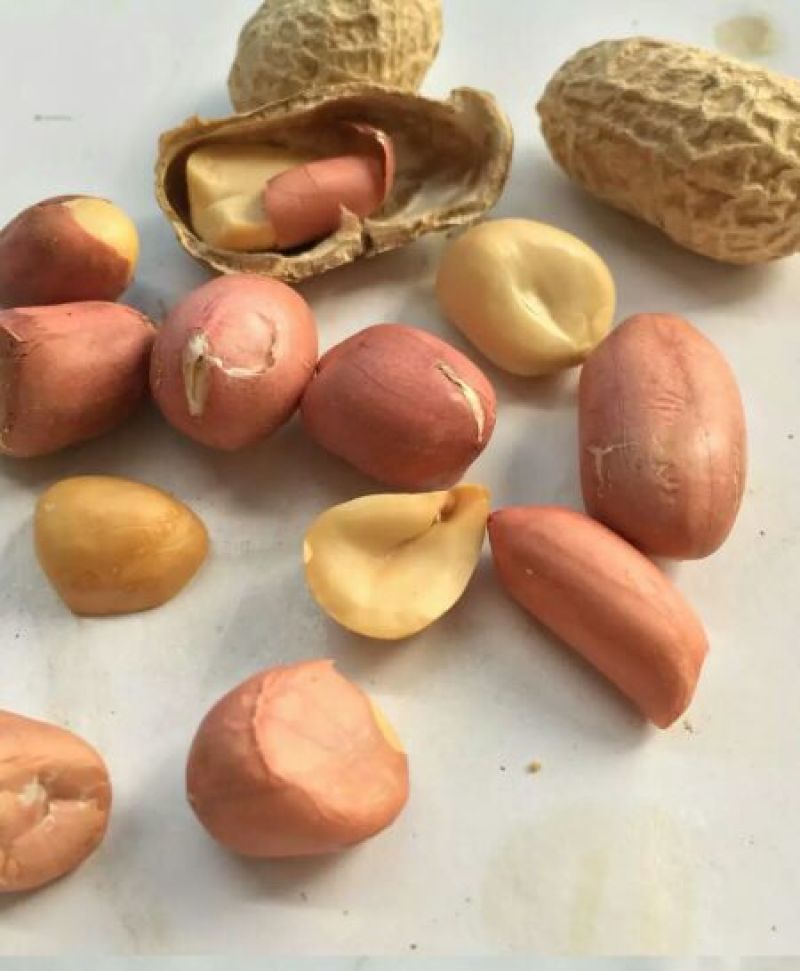 炒花生散装