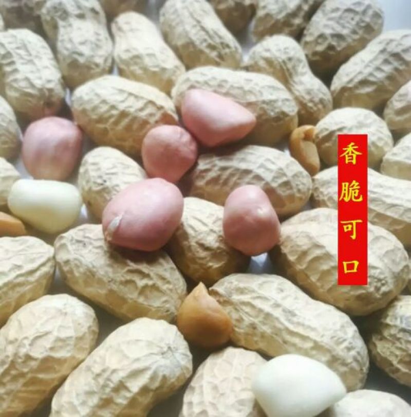 炒花生散装