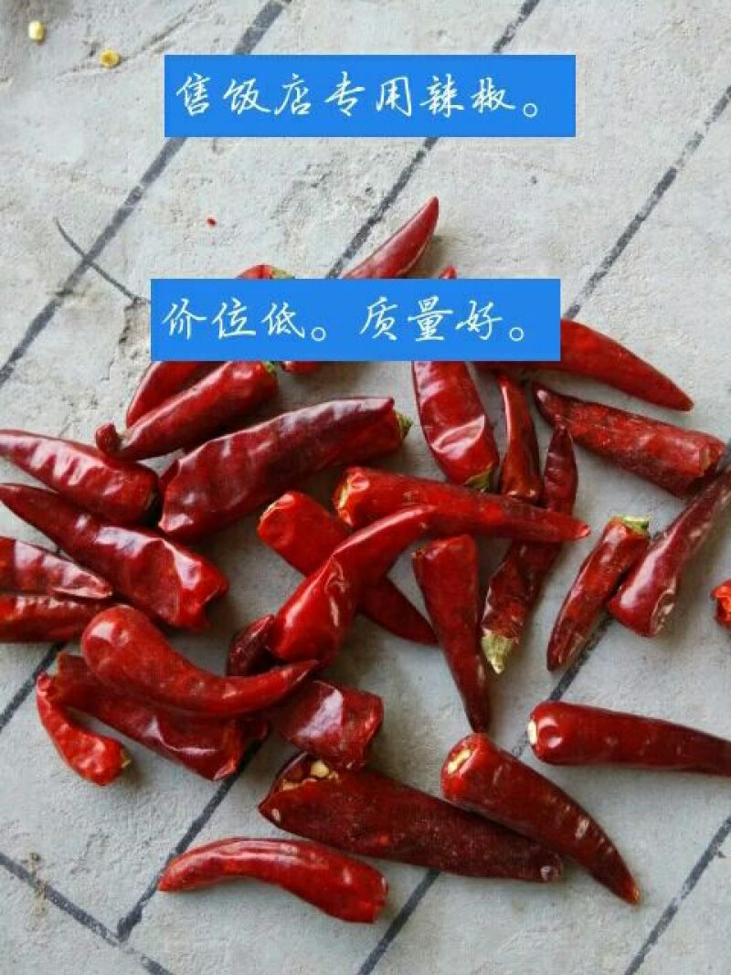子弹头辣椒2~5厘米中辣红有下通货，
