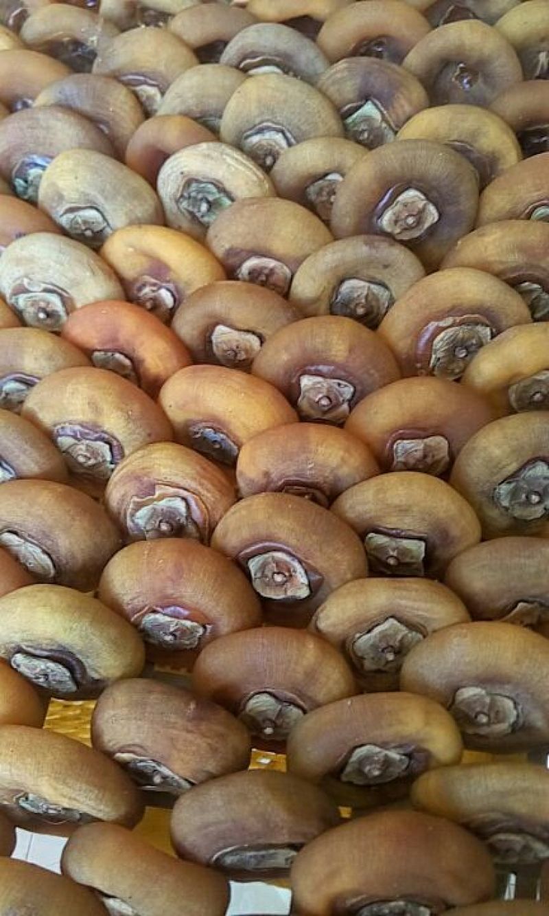 柿饼2~2.5两